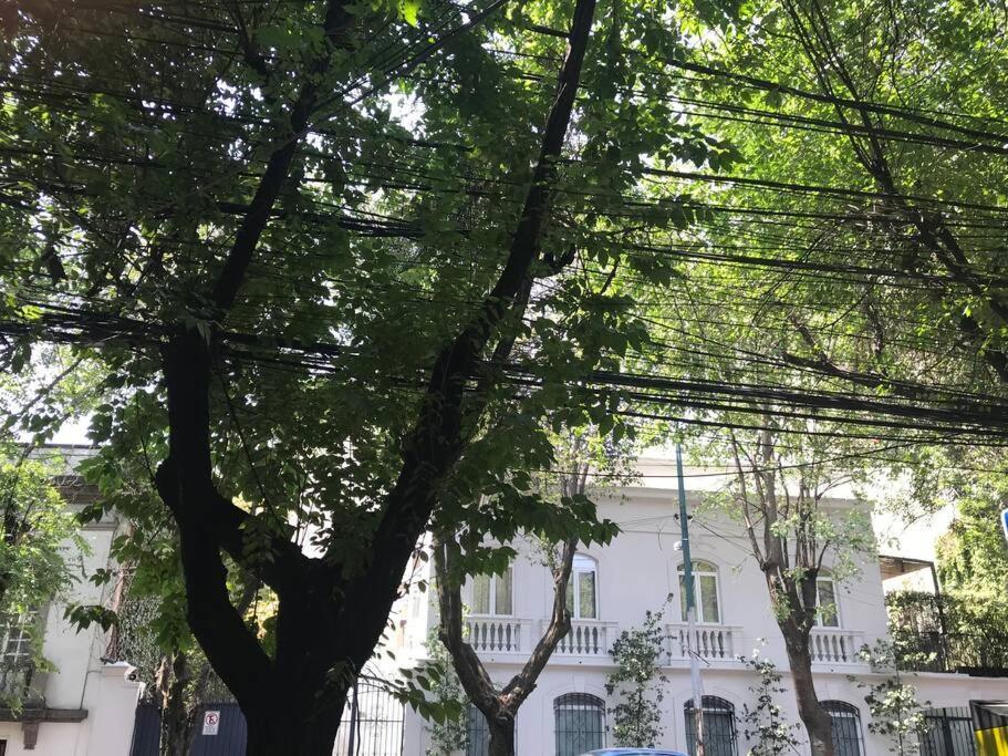 Excellent Location Renovated Apt. Roma/Condesa 1 Apartment เม็กซิโกซิตี้ ภายนอก รูปภาพ